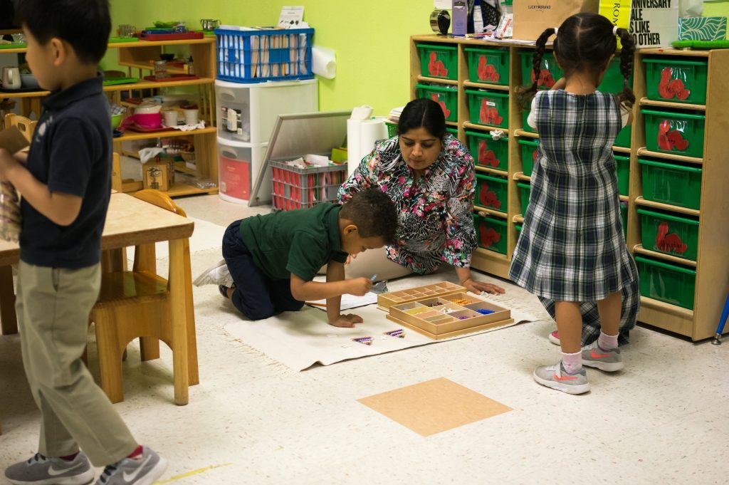A Primary child at work in the Elm classroom at the Murphy campus