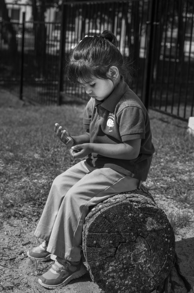 A child sitting on a tree-stump stool outdoors, turning something over in their hands