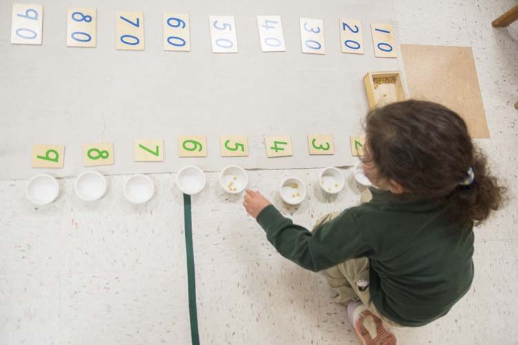 Numbered cards and small counting cups laid out in a long row on the classroom floor